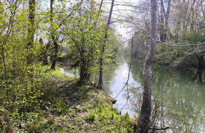 Terrain non constructible bordure Charente à vendre  VARS (16) — photo 5