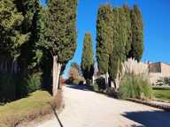 Propriété de caractère avec piscine et gîtes – Art de vivre en Provence — photo 2