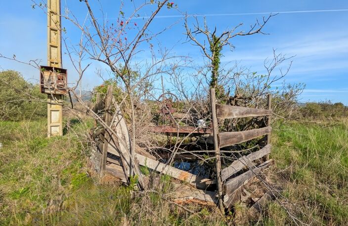 Terrain de 3 730 m² avec potentiel de construction – Réseaux à proximité – Cesseras — photo 4