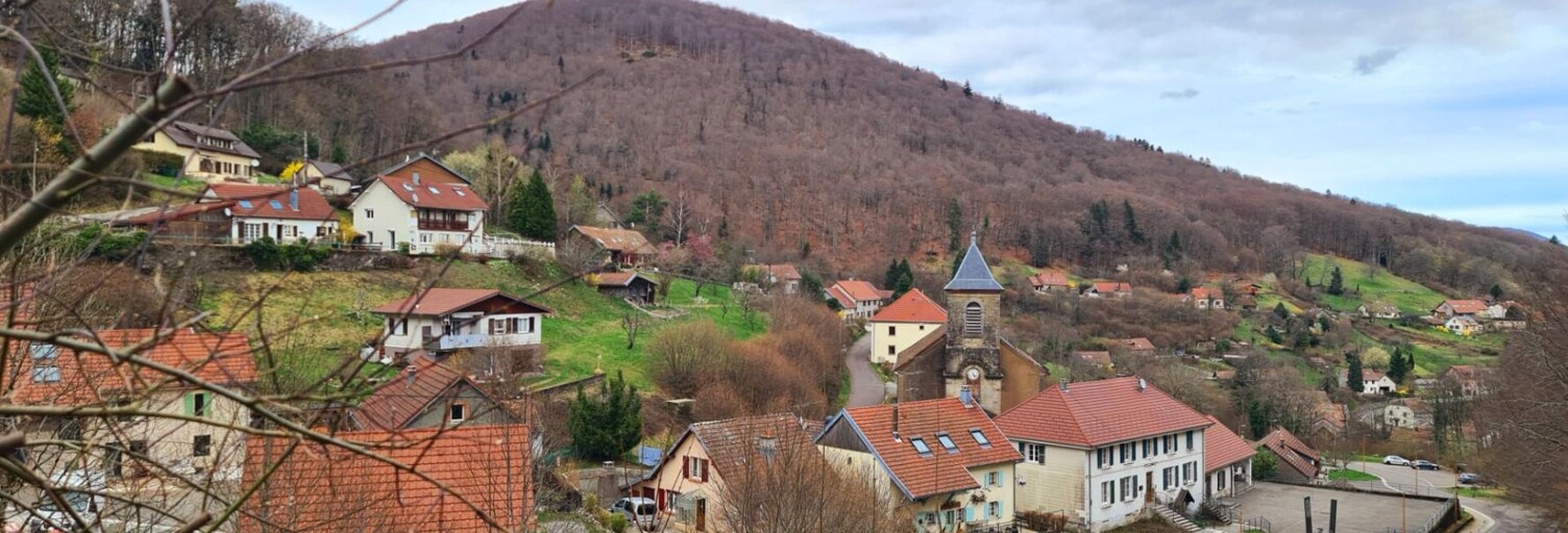 Photo N° 2
