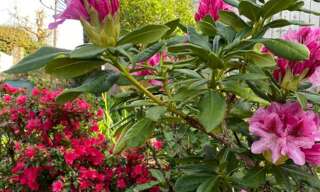 Maison 8 Pièces 160 m² à vendre à Vannes (56000)