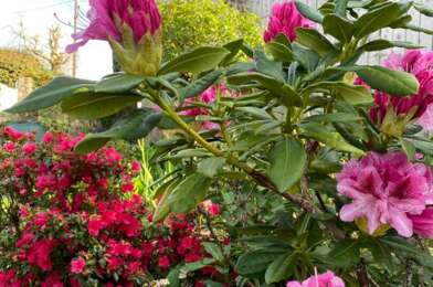 Maison 8 pièces 738000 €