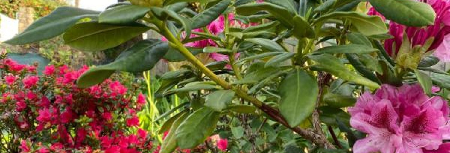 Maison 8 Pièces 160 m² à vendre à Vannes (56000)