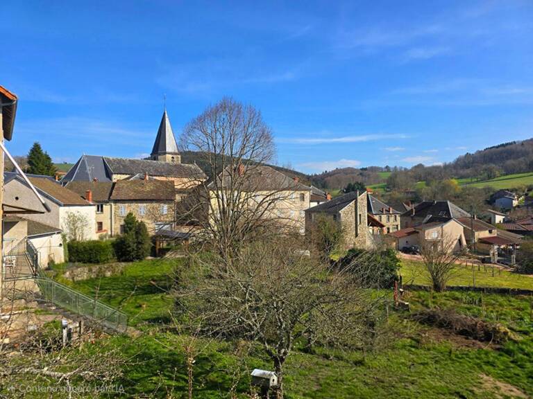 Maison Ferrieres Sur Sichon 172m2 — photo 1