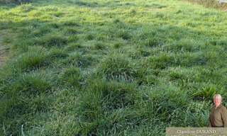 Terrain  997 m² à vendre à Prinquiau (44260)