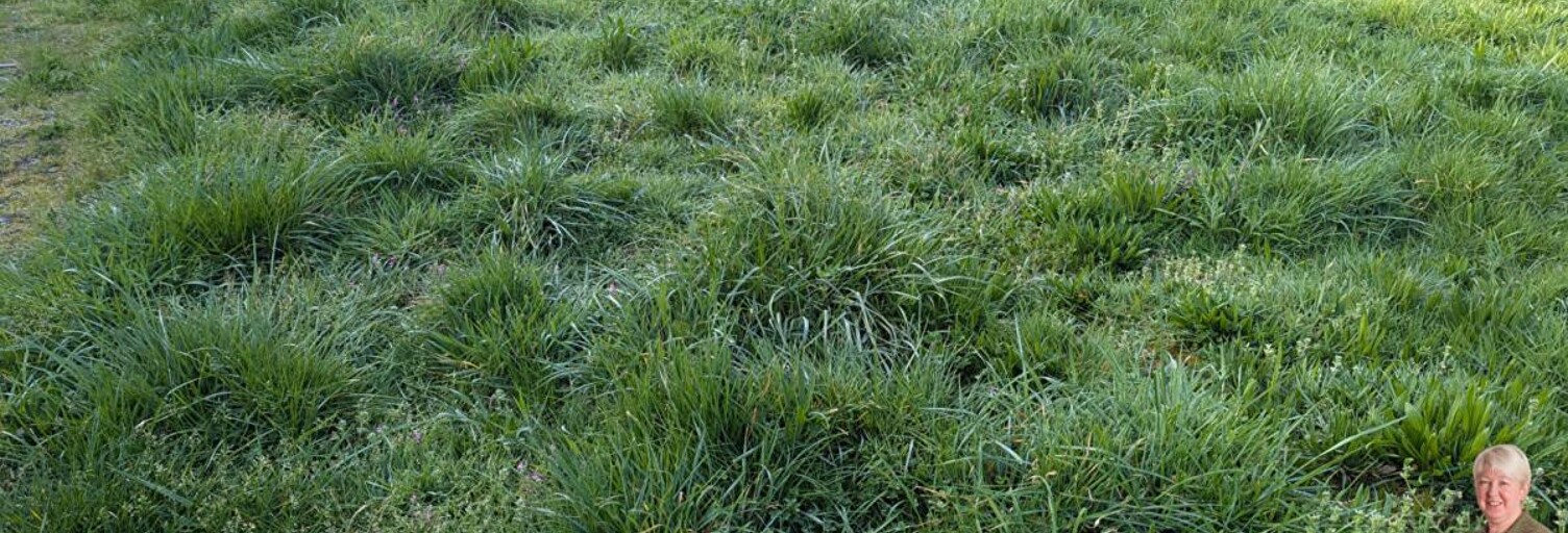 Terrain  997 m² à vendre à Prinquiau (44260)