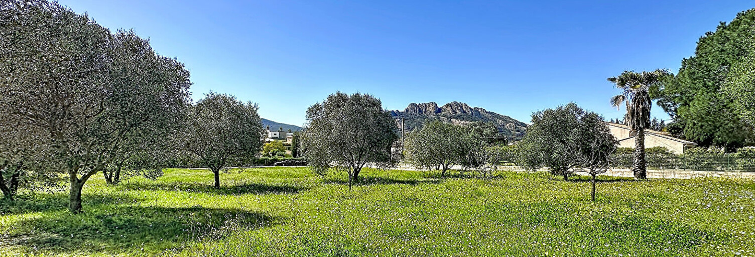 Terrain  785 m² à vendre à Roquebrune-sur-Argens (83520)