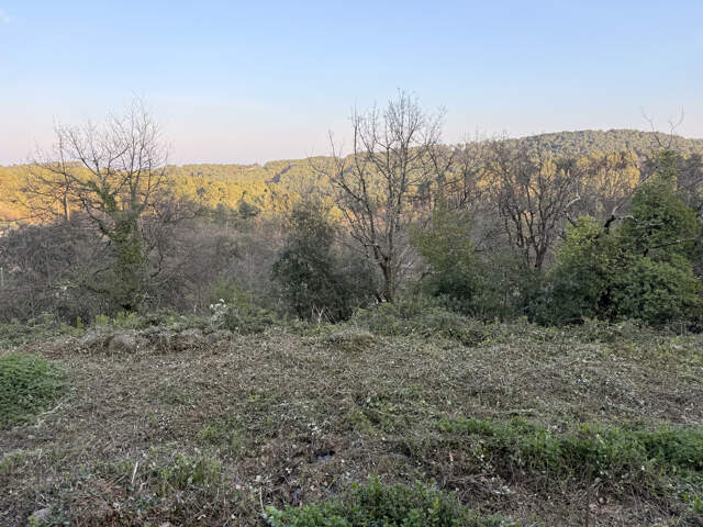 Terrain à bâtir — photo du bien