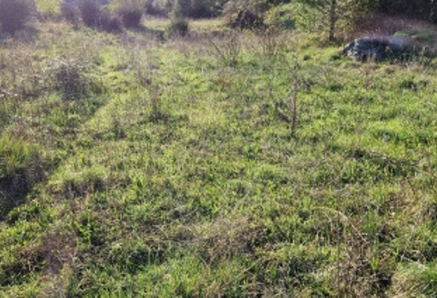 šTerrain à batir — photo 1