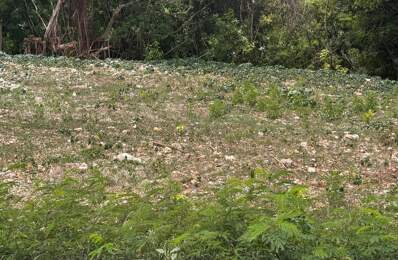 Terrain de 2 078 m² à vendre au Moule — photo du bien