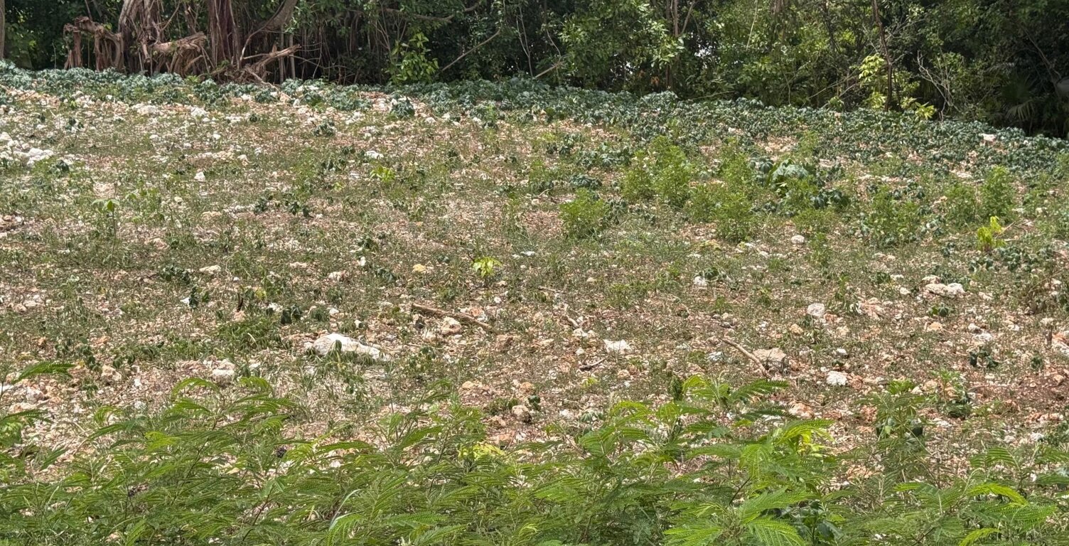 Terrain de 2 078 m² à vendre au Moule — photo 1
