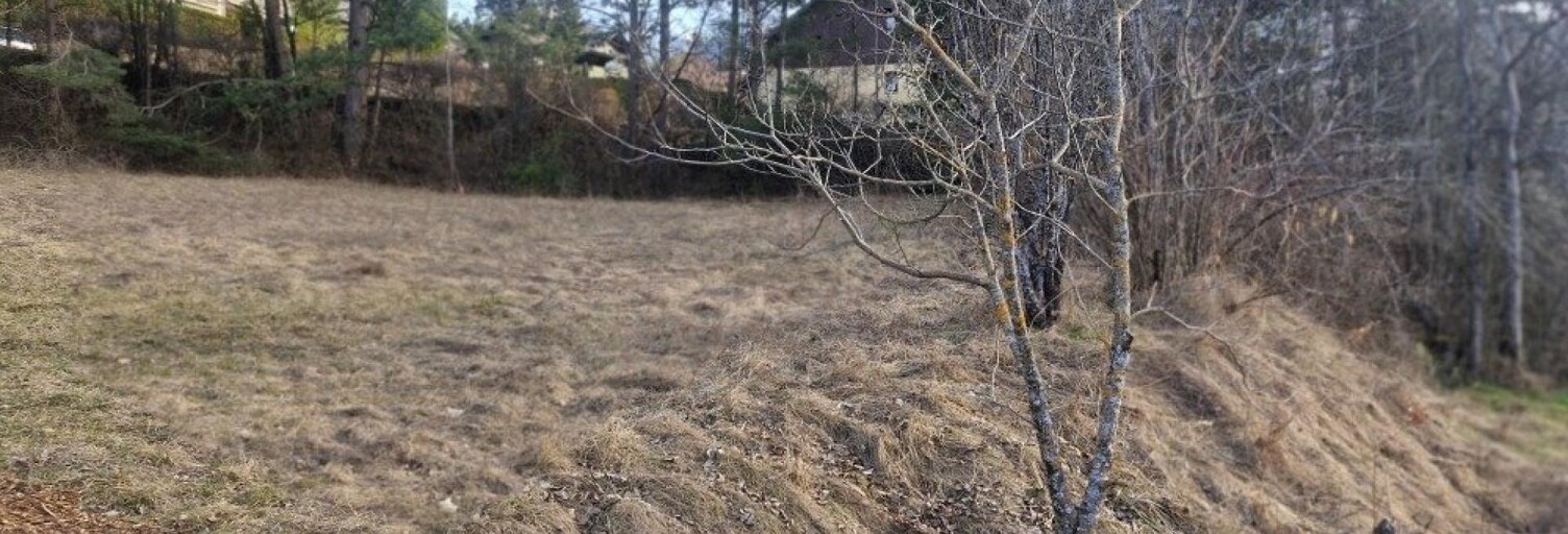 Terrain  717 m² à vendre à Saint-Sauveur (05200)