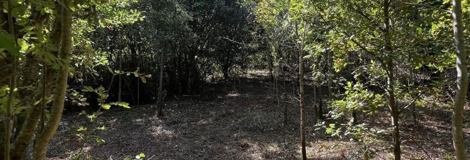 Terrain  3210 m² à vendre à Prémian (34390)