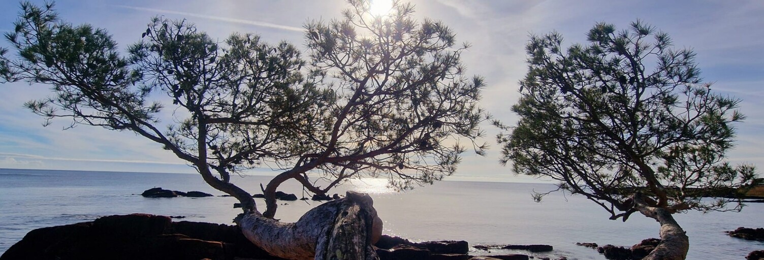 Maison 5 Pièces 130 m² à vendre à Saint-Raphaël (83700)