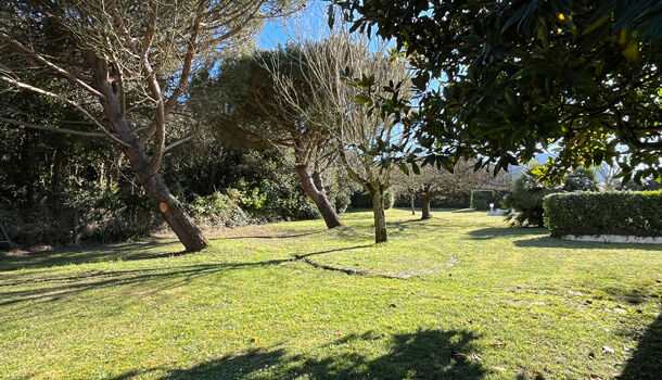 Villa / Maison 10 pièces  à vendre Dolus-d'Oléron 17550