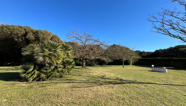 Villa / Maison 10 pièces  à vendre Dolus-d'Oléron 17550