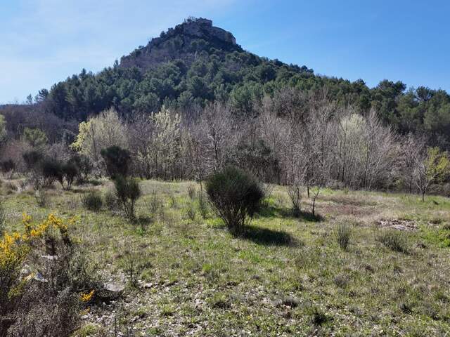 Terrain constructible — photo du bien