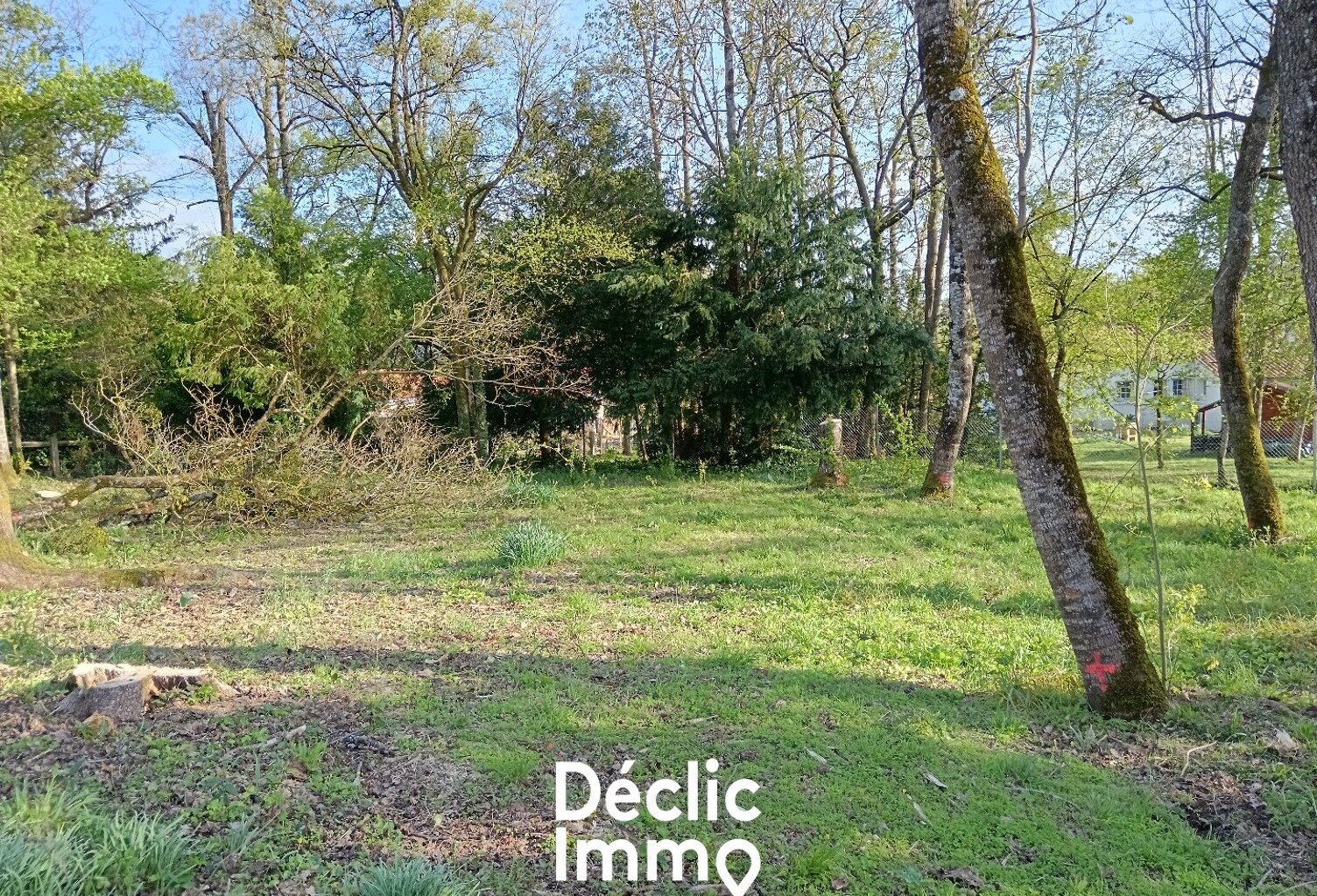 TERRAIN CONSTRUCTIBLE 1034 M² — photo 1