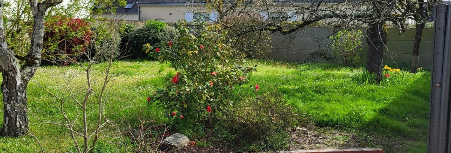 Terrain  526 m² à vendre à Les Ponts-de-Cé (49130)