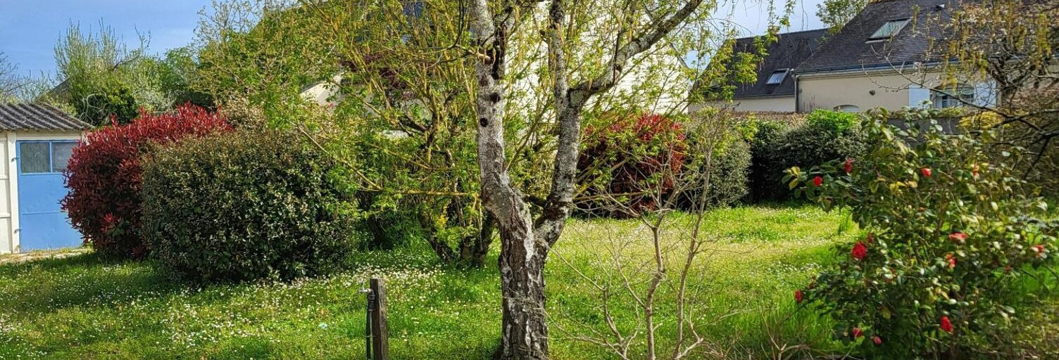 Terrain  526 m² à vendre à Les Ponts-de-Cé (49130)