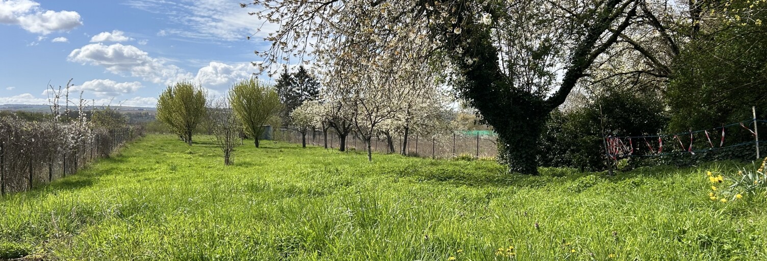 Terrain  2644 m² à vendre à Aÿ-Champagne (51160)