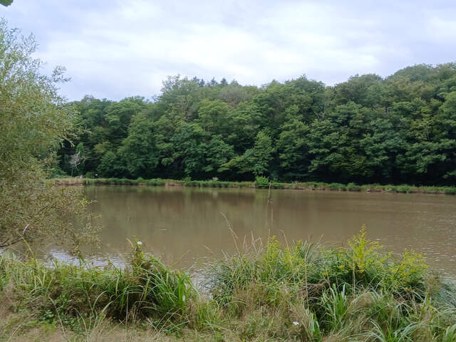 Vente bel étang d'environ 1,5 ha avec maisonnette de 30 m2 e — photo du bien