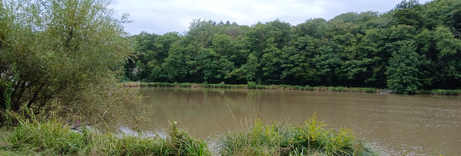 Terrain  25660 m² à vendre à Valdoie (90300)