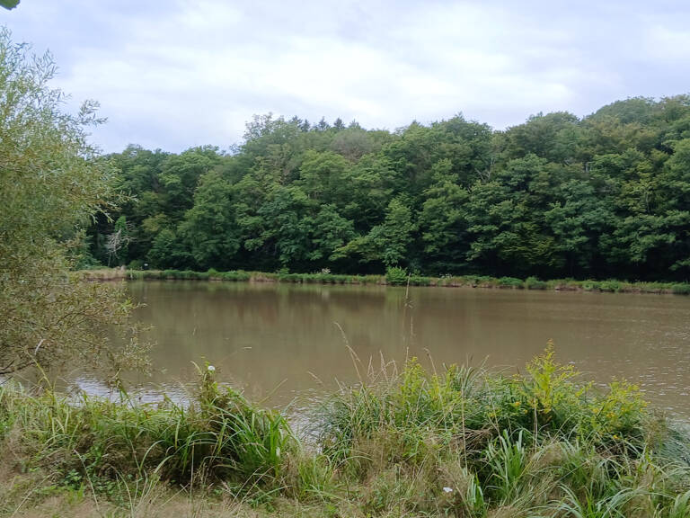Vente bel étang d'environ 1,5 ha avec maisonnette de 30 m2 e — photo 1