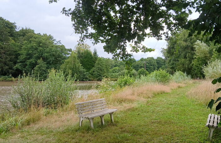 Vente bel étang d'environ 1,5 ha avec maisonnette de 30 m2 e — photo 2
