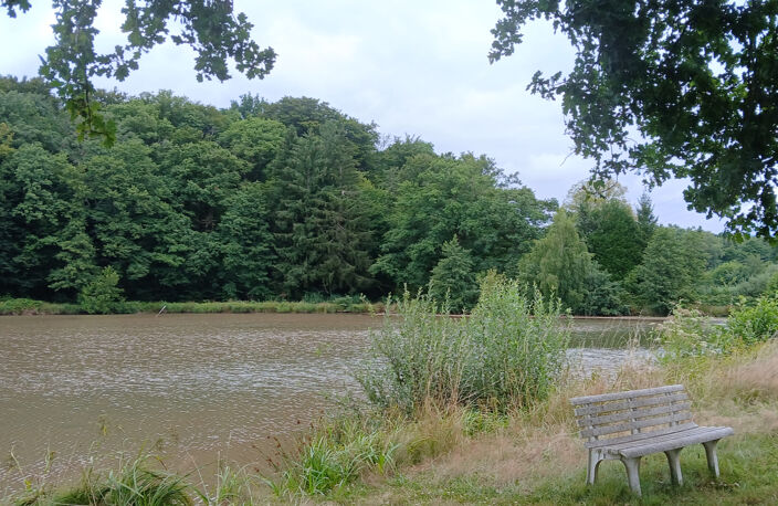 Vente bel étang d'environ 1,5 ha avec maisonnette de 30 m2 e — photo 3