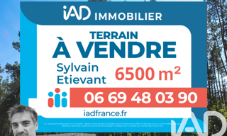 Terrain  6500 m² à vendre à Biscarrosse (40600)