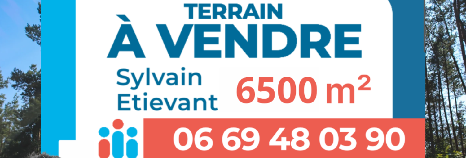 Terrain  6500 m² à vendre à Biscarrosse (40600)