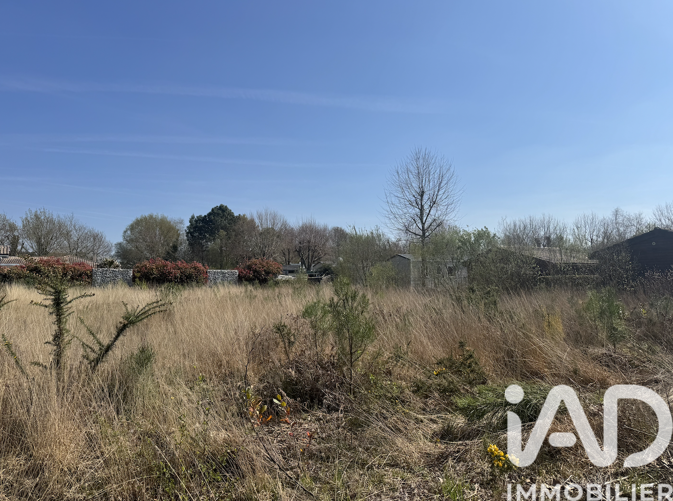 Parentis-En-Born - 1000m²