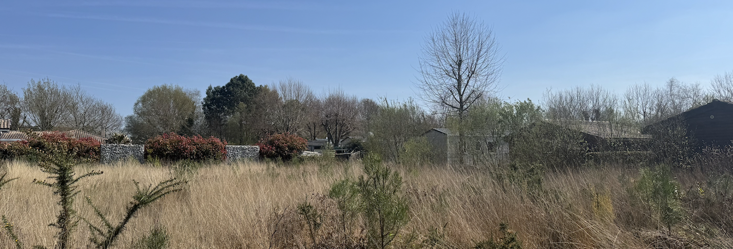 Terrain  1000 m² à vendre à Parentis-en-Born (40160)