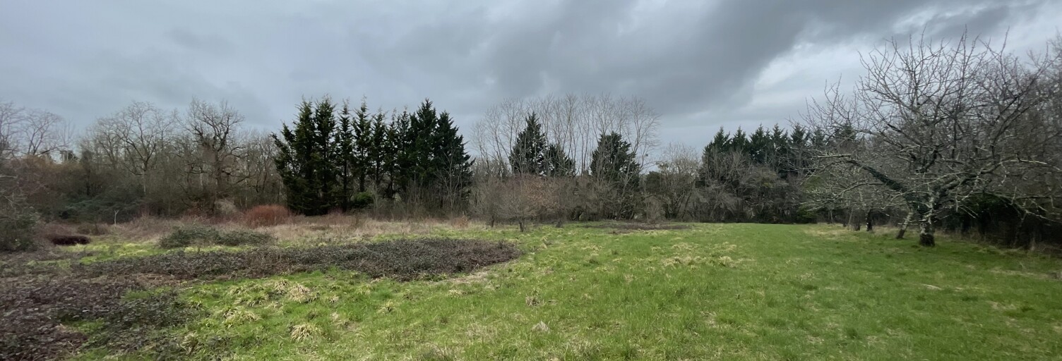 Terrain  4500 m² à vendre à Nérigean (33750)