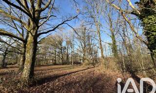 Terrain  9422 m² à vendre à Nançay (18330)