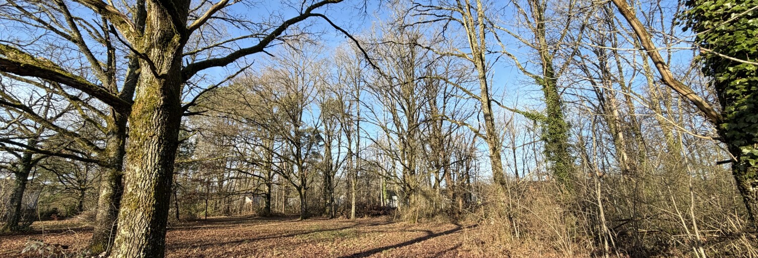 Terrain  9422 m² à vendre à Nançay (18330)