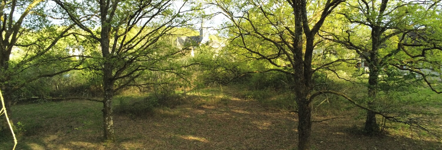 Terrain  9422 m² à vendre à Nançay (18330)