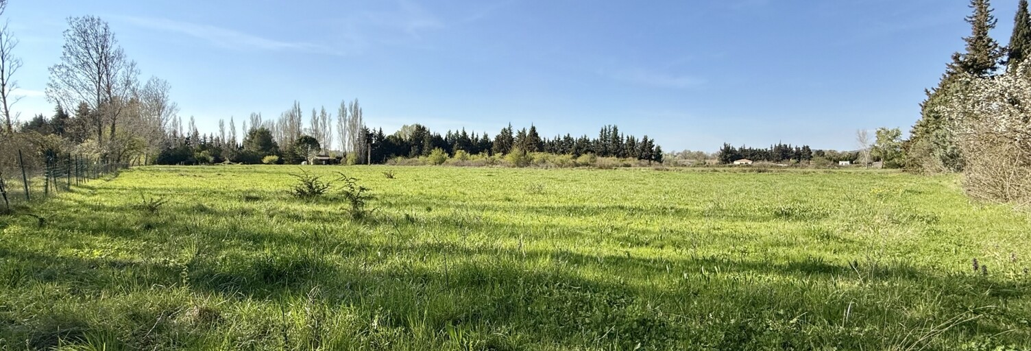 Terrain  9900 m² à vendre à Aubignan (84810)