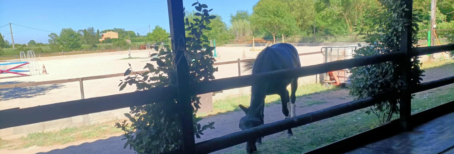 Maison 5 Pièces 105 m² à vendre à Le Luc (83340)