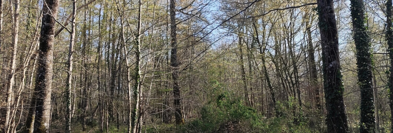 Terrain  48910 m² à vendre à Sury-près-Léré (18240)