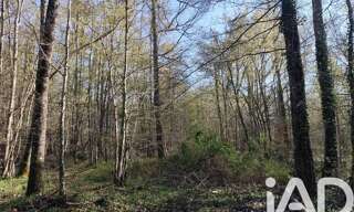 Terrain  48910 m² à vendre à Sury-près-Léré (18240)