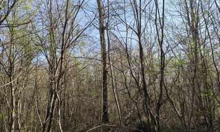 Terrain  33330 m² à vendre à Sury-près-Léré (18240)