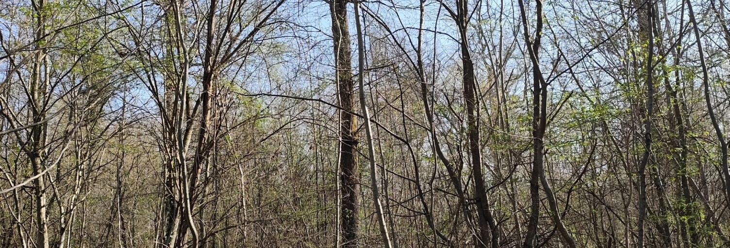 Terrain  33330 m² à vendre à Sury-près-Léré (18240)