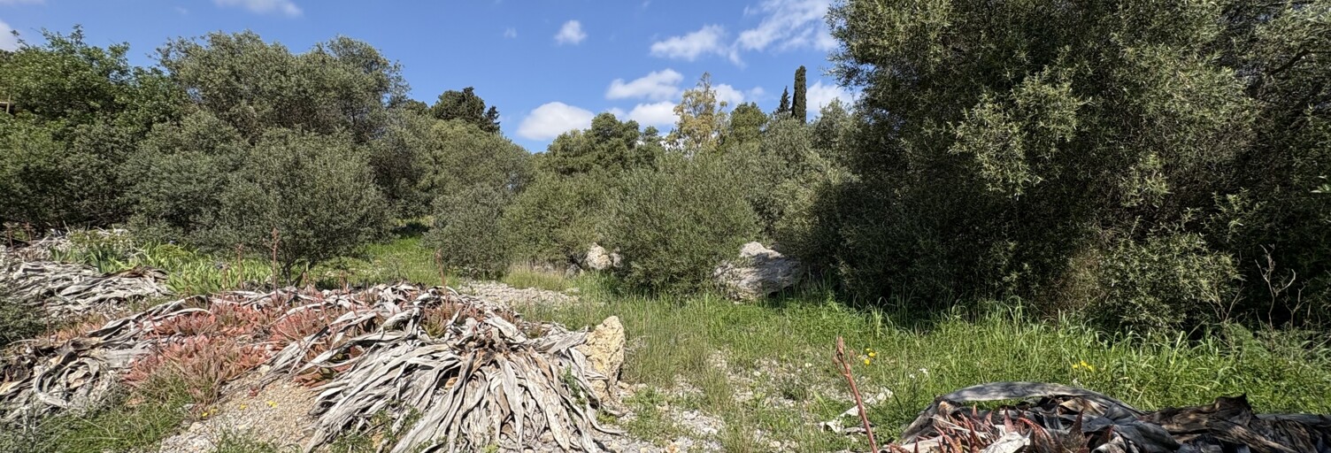 Terrain  729 m² à vendre à La Palme (11480)