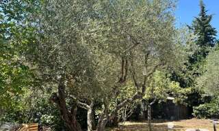 Terrain  800 m² à vendre à Signes (83870)