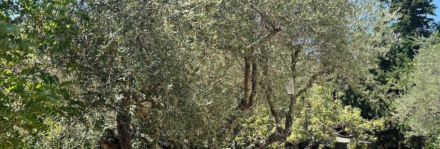 Terrain  800 m² à vendre à Signes (83870)