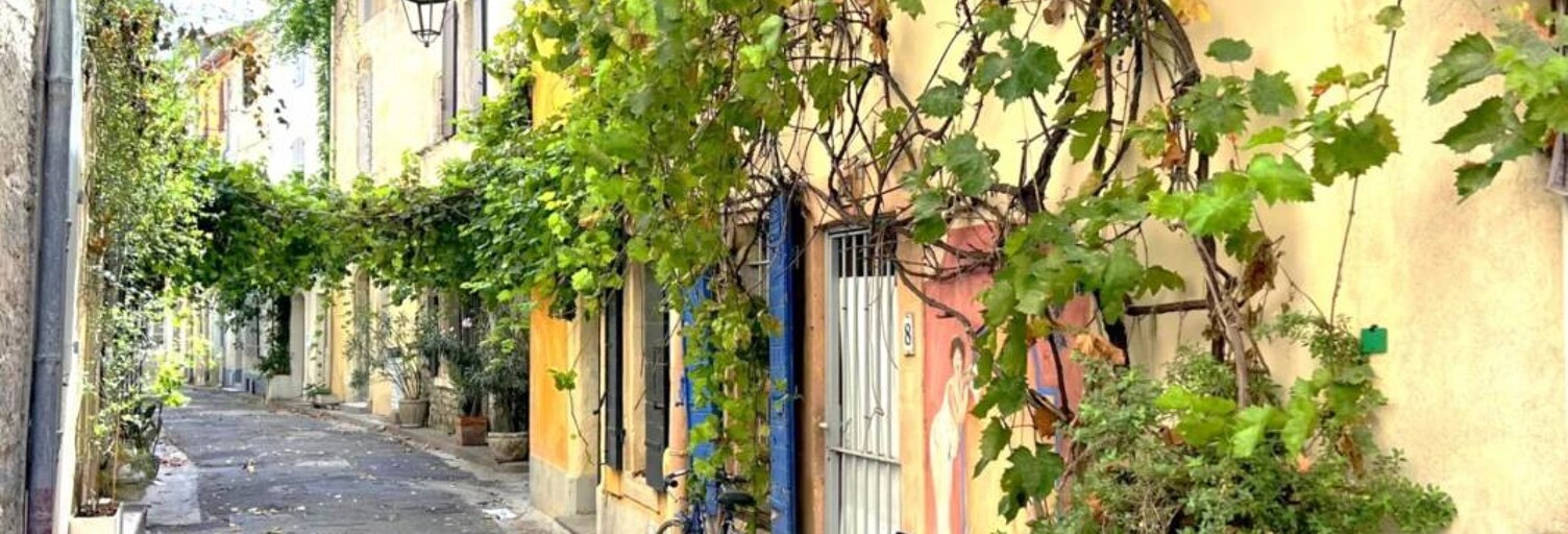 Maison 3 Pièces 61 m² à vendre à Arles (13200)