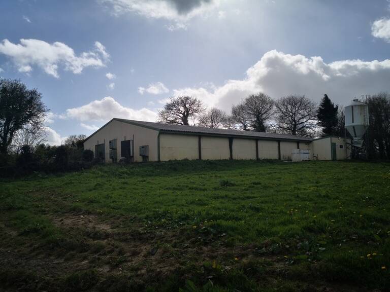 Terrain agricole de 13 000 m² avec bâtiment agricole récent – Idéal projet équestre ou petite agriculture — photo 1