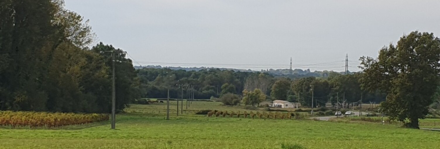 Terrain  540 m² à vendre à Saint-Savin (33920)